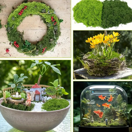 MUSGO NAVIDEÑO TENDENCIA 2025- PARA PESEBRES Y DECORACIONES