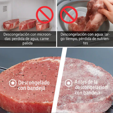 Máquina de Descongelado Rápido con Temperatura Inteligente